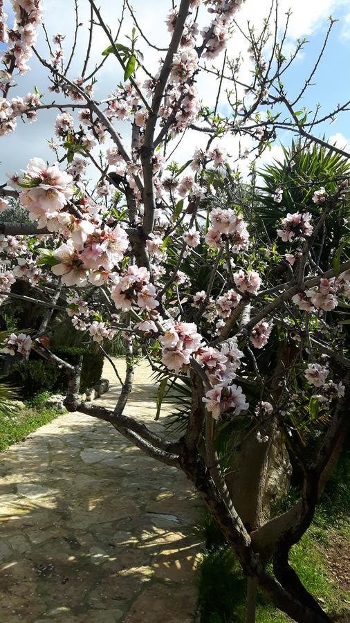 Casale Rocca Russa B&B 莫斯村 外观 照片